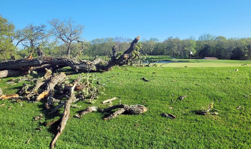 Restoring Brighton Dale Links after storm damage