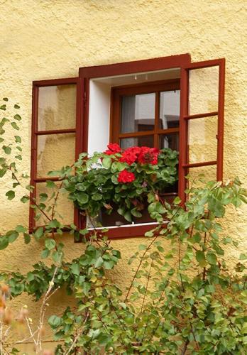 Windows of the World exhibit in Racine