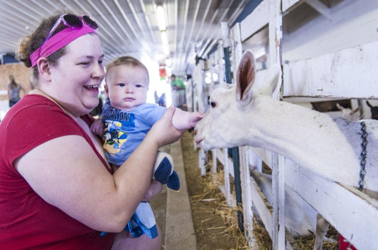 Walworth County Fair 3