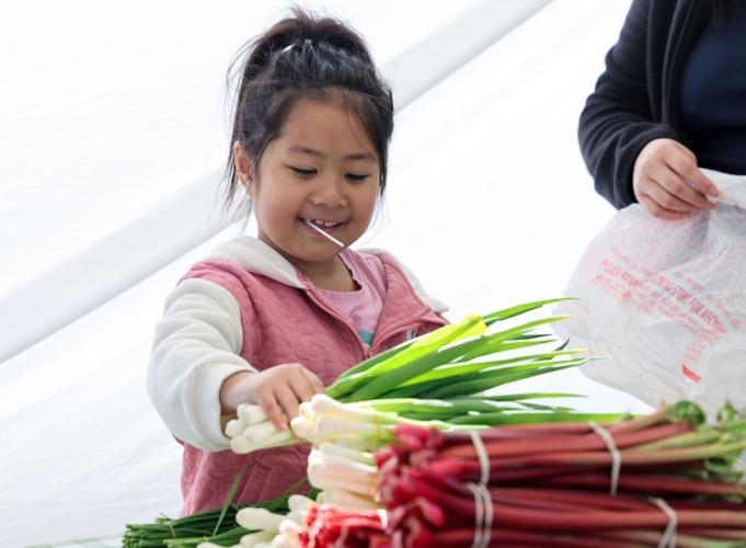 Junction Ridge Farmers Market 3