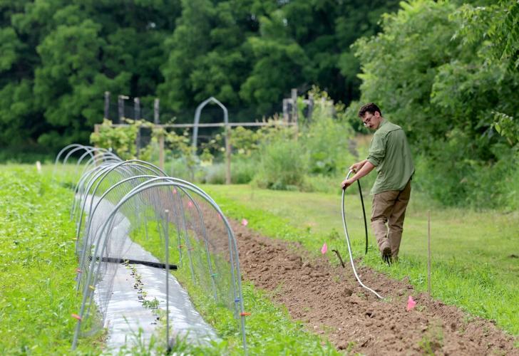 First-Generation-Farm-03-20260710-259182.JPGWIS0004086842.JPG