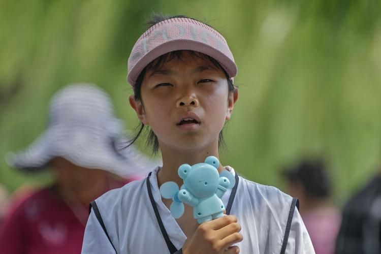 Climate Earths Hottest Year