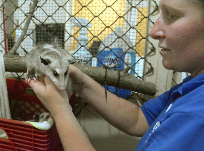 072121-bara-news-zoo1