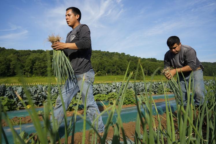 Heat Farmworkers Exposure