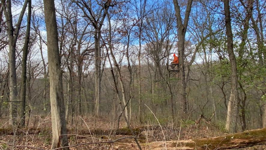 Traditional gun-deer season opens