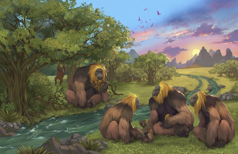 Extinct Great Apes