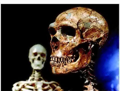 Study shows ancient coupling between humans, Neanderthals