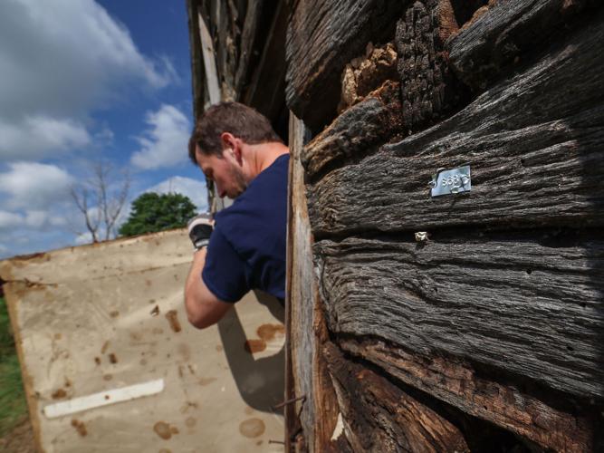 Timber tags