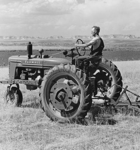 Farmall tractor