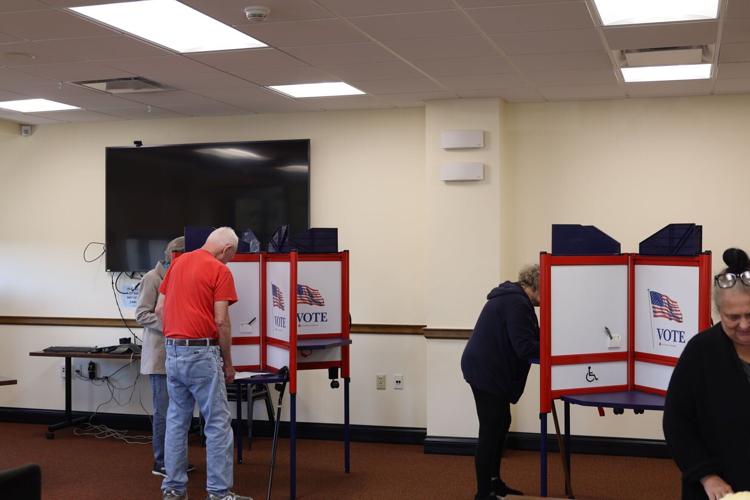 Voting