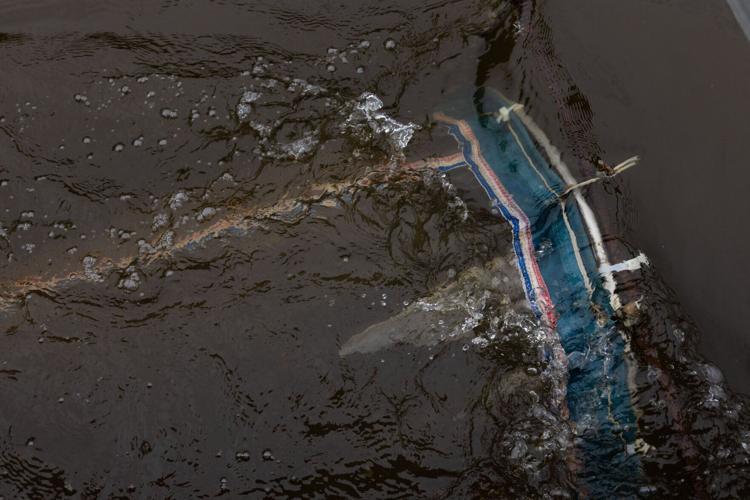 Researchers race against invasive carp in the Mississippi