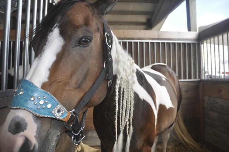 Walworth County Fair 2