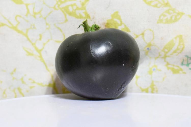 Black Beauty tomato