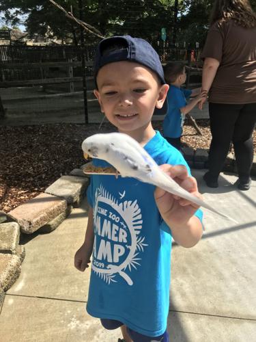 Racine Zoo: Boy with bird