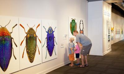 Kenosha Public Museum exhibit