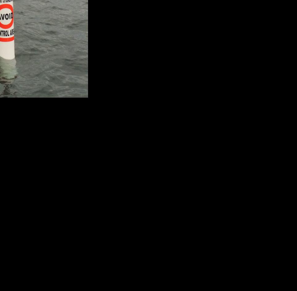 Boaters urged to steer clear of invasive plant