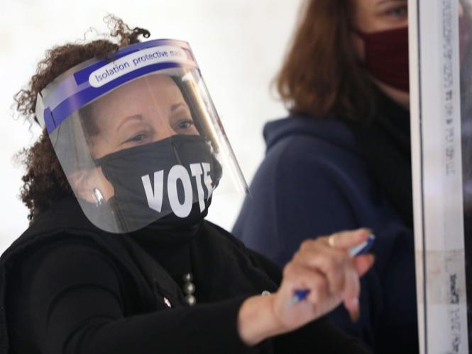 Voting at Elver Park