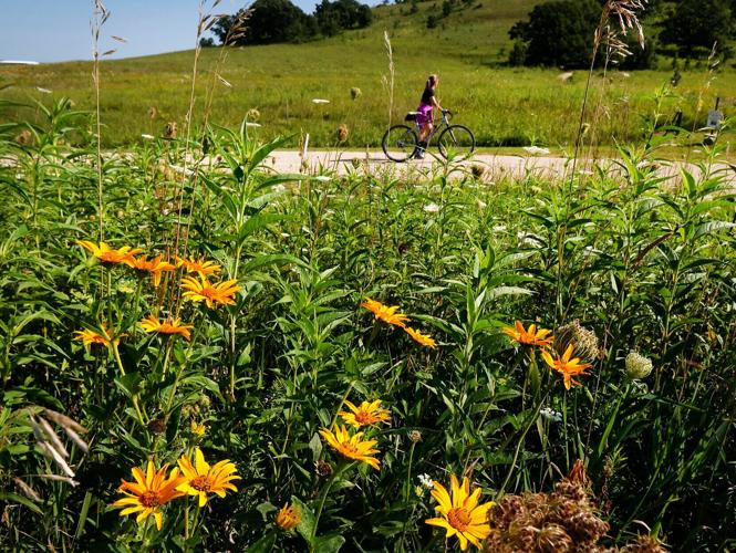 Pheasant Branch Conservancy