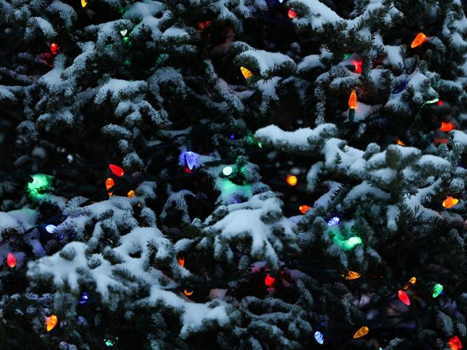 Snow on Christmas tree, State Journal photo