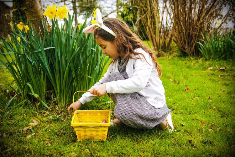 Easter egg hunt