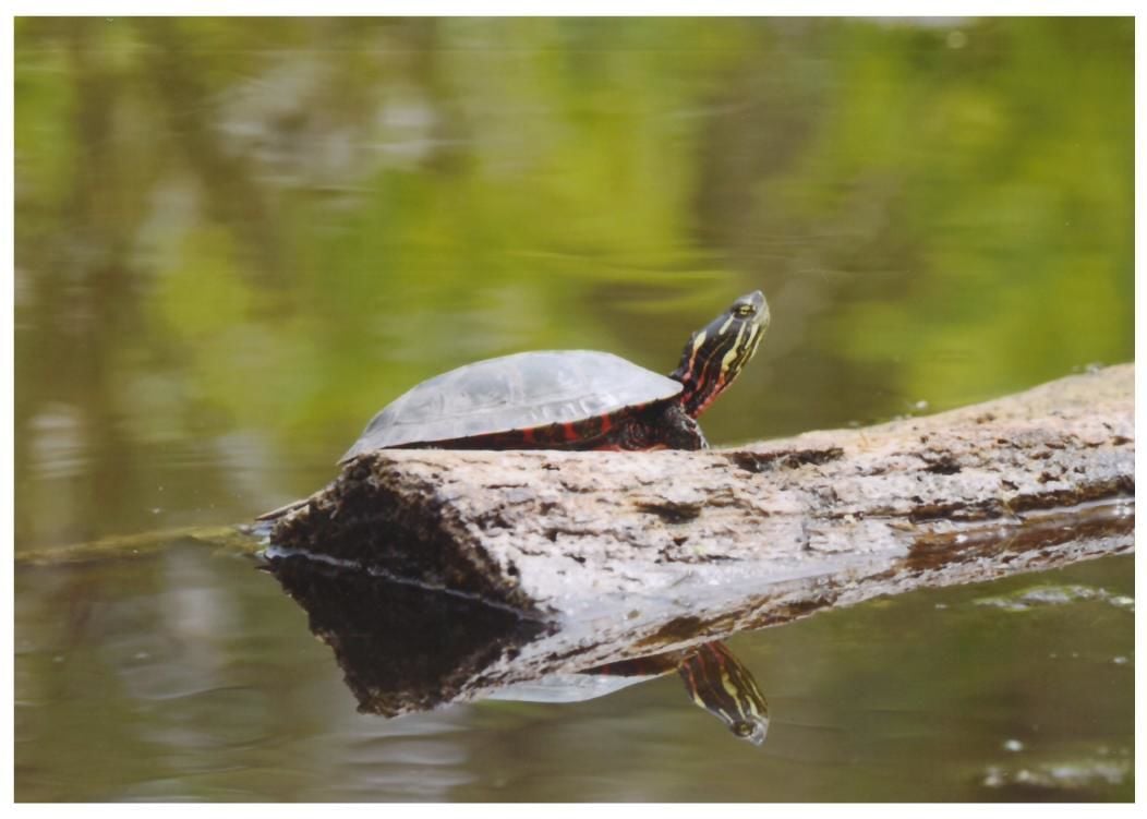 Joyce McBriarty won second place in the 22+ age group