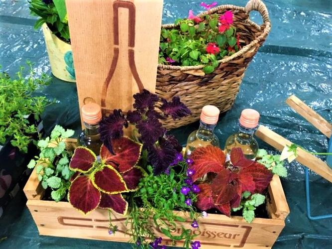Creative potted plants for sale at Fontana Garden's Club's annual Pots & Pies scholarship fundraiser