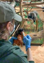 Supplemental feeding in exhibit