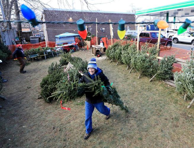 Christmas Trees