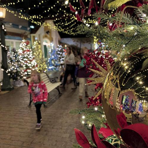 Parade of trees