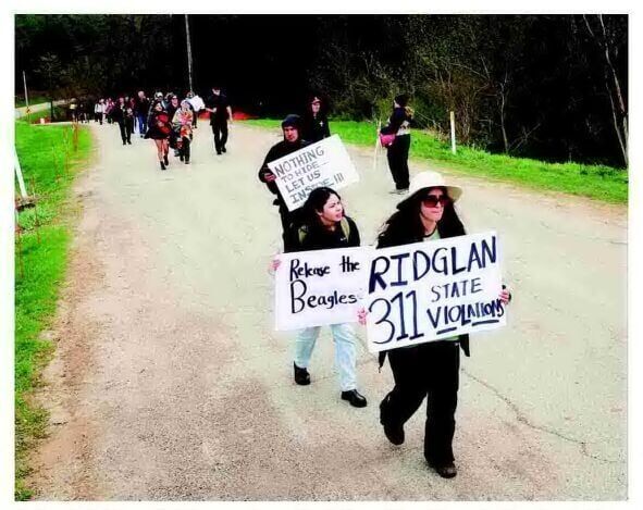 Animal rights activists decry police response