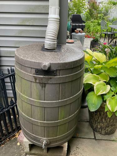Gardening Watering