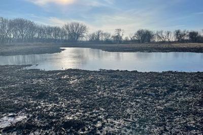 Agricultural wetlands
