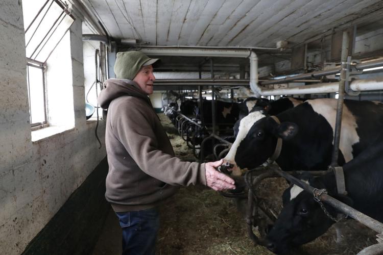 Seven Acre Dairy Company in Paoli