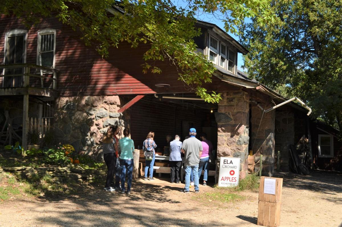 Ela Orchard Apple Barn