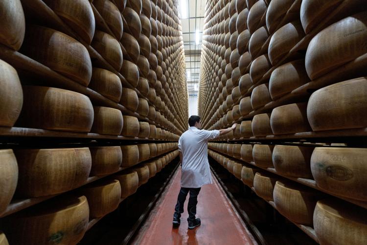 Extreme heat threatens Italy's Parmesan heartland