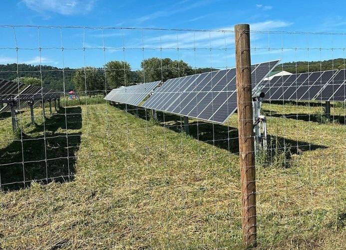 Agricultural fencing at a solar farm