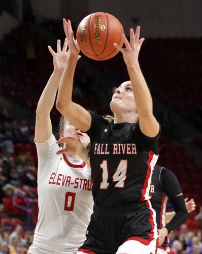 Natalie Fietz Fall River