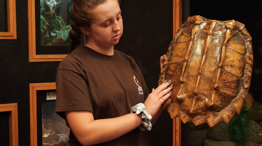 Racine Zoo volunteer