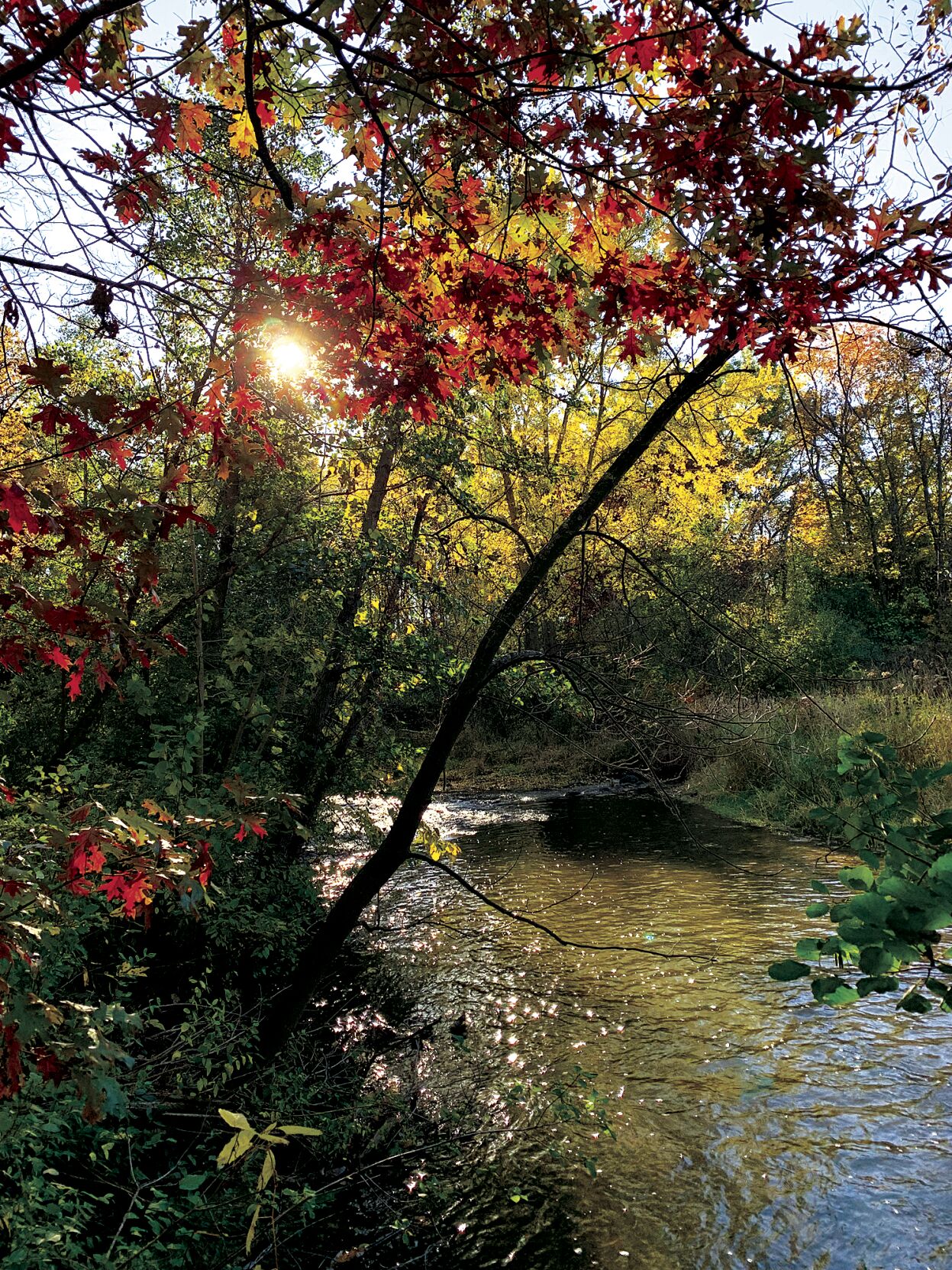 White River County Park 3