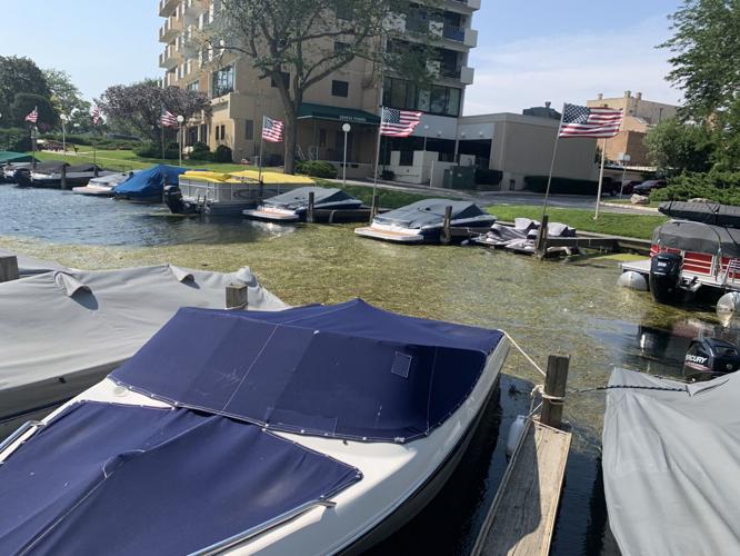 The lack of boats moving in and out of Lake Geneva's lagoon could be one of the reason why the lagoon has a large amount of weeds this summer