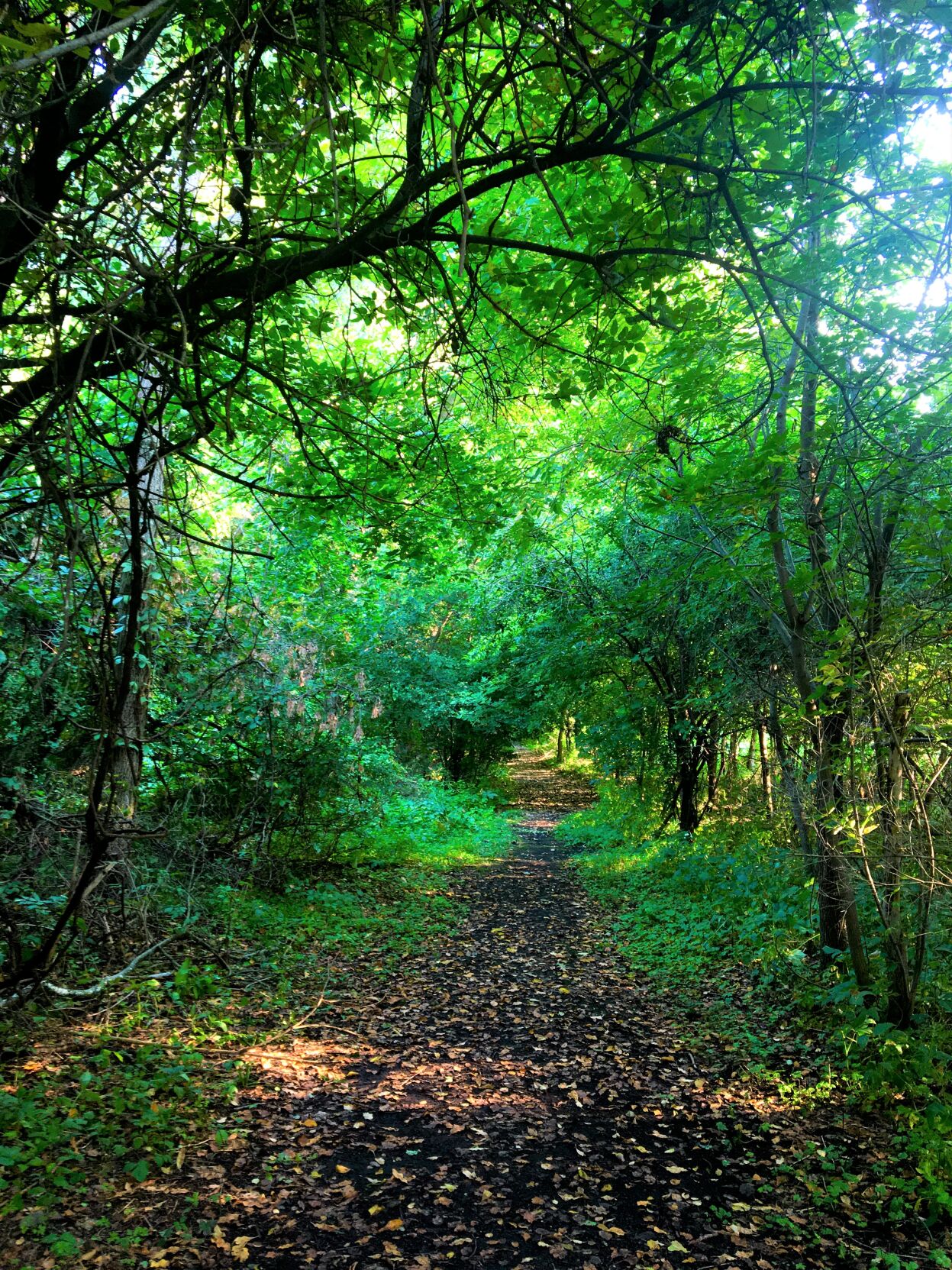 Kishwauketoe Railroad Spur Trail On Old Chicago & Northwestern Railway Right-Of-Way