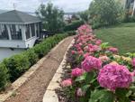 Flowers and boat house