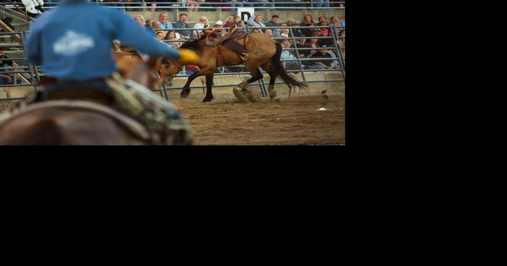Music, rodeo, carnival rides: Walworth County Fair in Elkhorn turns 175 ...