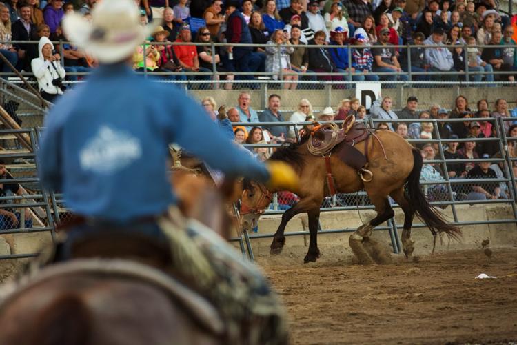 Rodeo