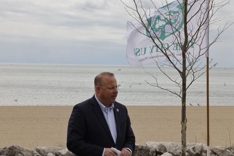 Arbor Day tree planting