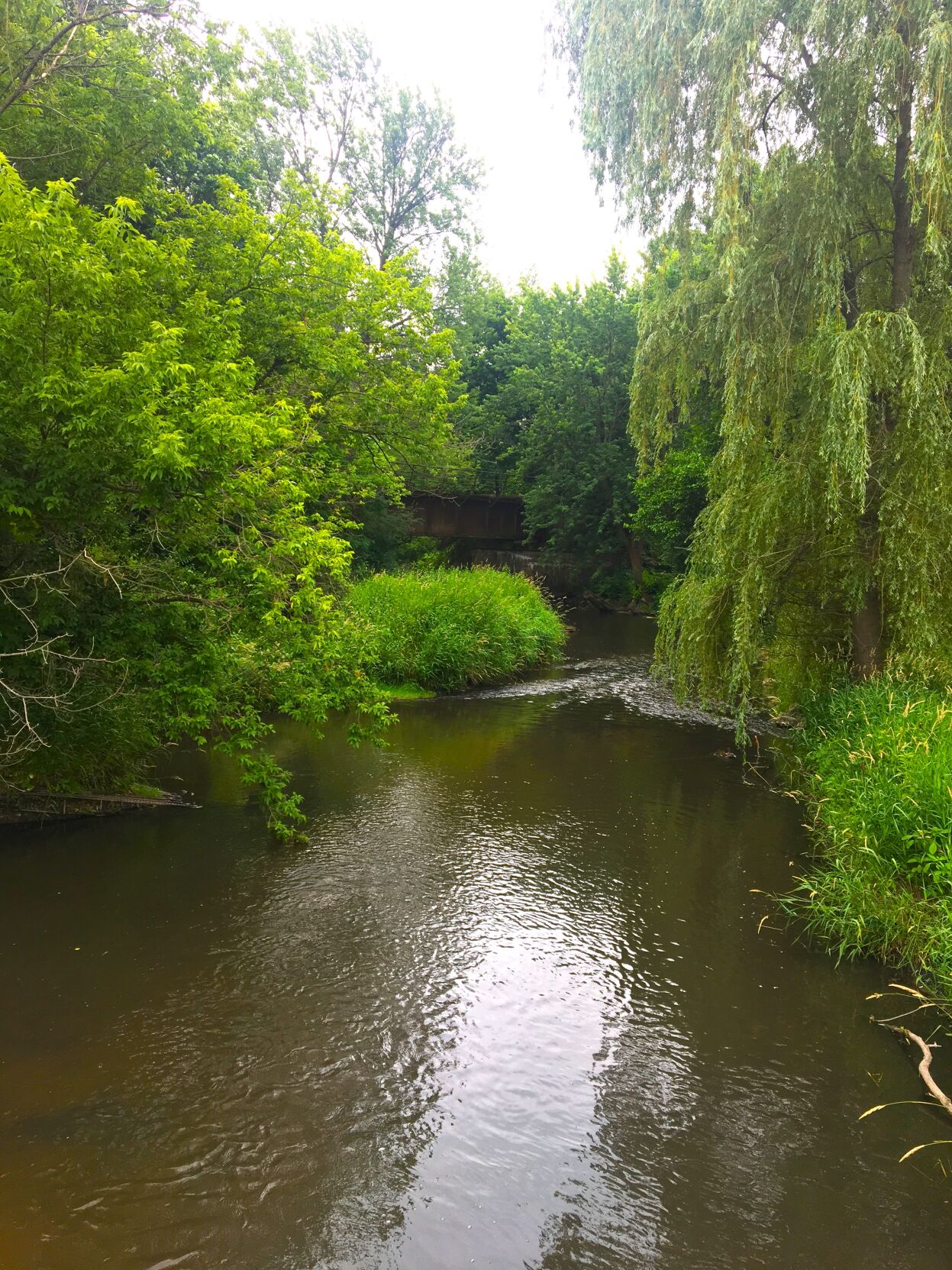 Nippersink Creek at Genoa City, seen from Main Street (County Hwy. B)