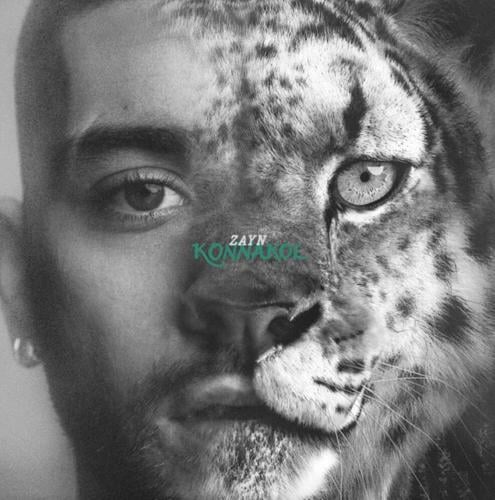 Zayn -- Konnakol