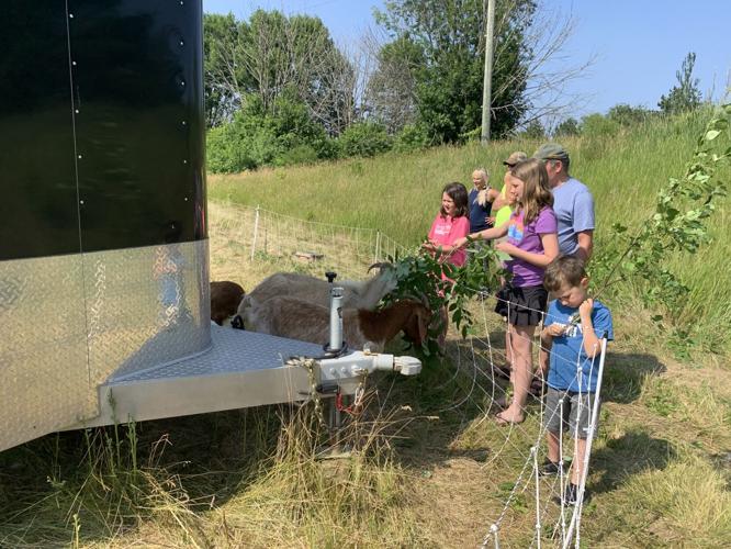 Several sponsors and their children feed some goats, June 22