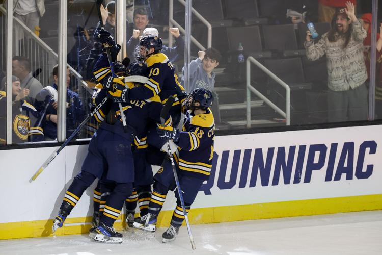 Wisconsin Quinnipiac Hockey