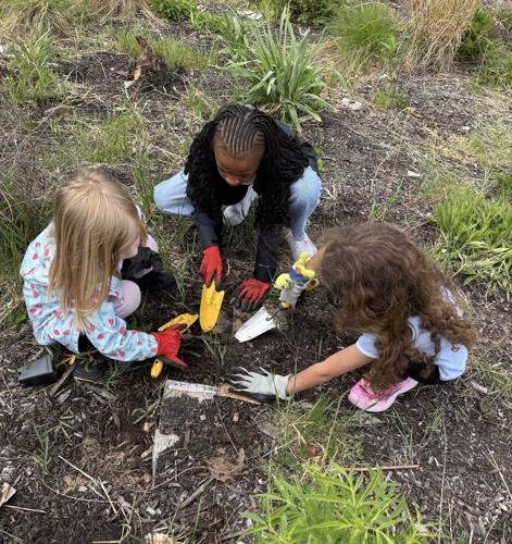 Somers Elementary students at pollinator patch